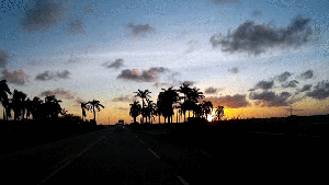 Sunset Alagoas Short