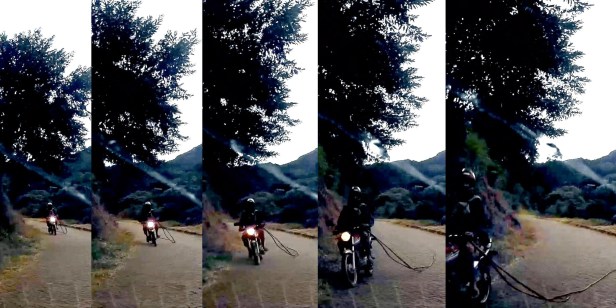 Processed with MOLDIV