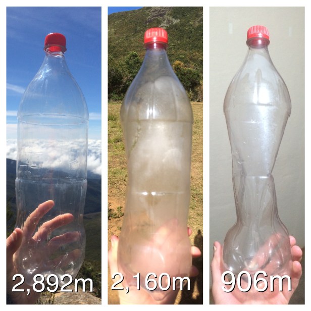 Processed with MOLDIV