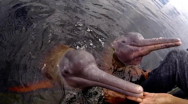 Fullscreen_01_08_2016__22_50