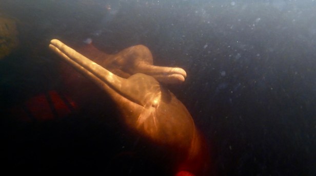 Fullscreen_01_08_2016__22_53